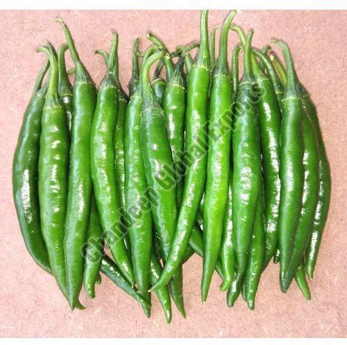 Hybrid Green Chilli for Cooking