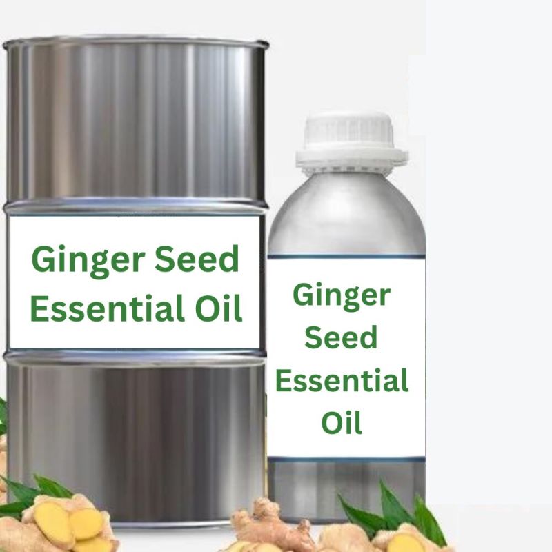 Ginger Seed Essential Oil for Medicine Use