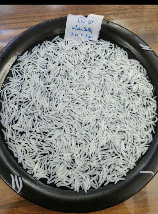 1121 White Sella Basmati Rice For Cooking, Human Consumption