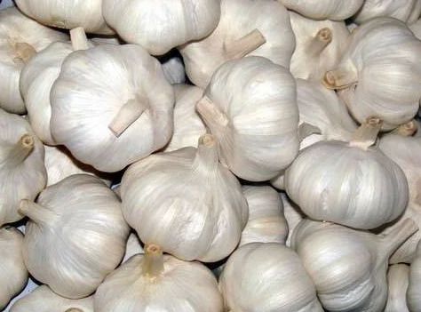 Natural Fresh Garlic, Packaging Size : 10 kg