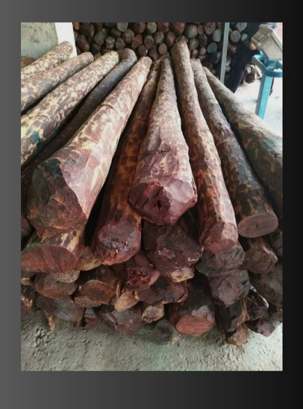 Sandal Wood Logs, Length : 2.15-2.45