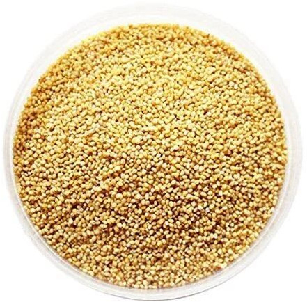 Natural Foxtail Millet Seeds, Packaging Type : PP Bags