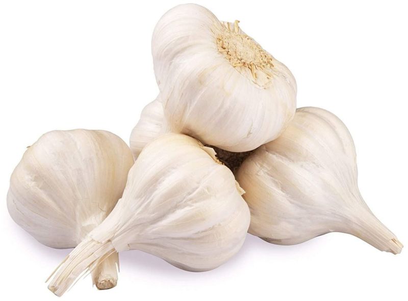 Natural Fresh White Garlic for Cooking