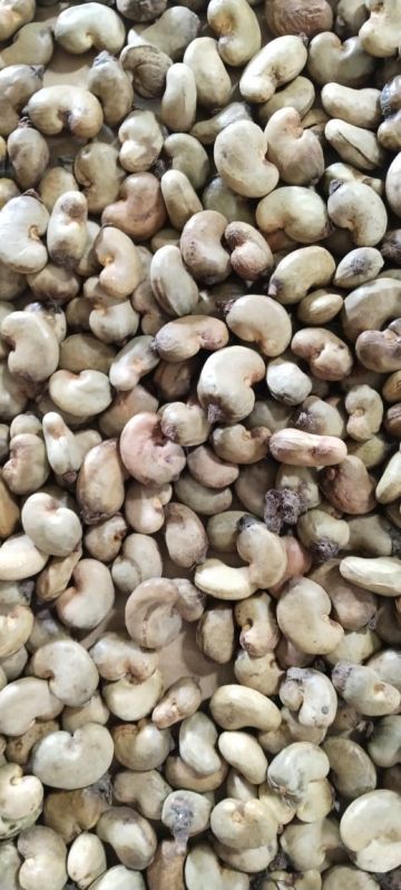 Blanched Common Vietnam Raw Cashew Nut For Food