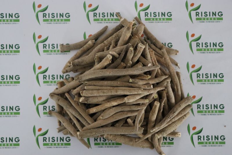 ashwagandha root extract