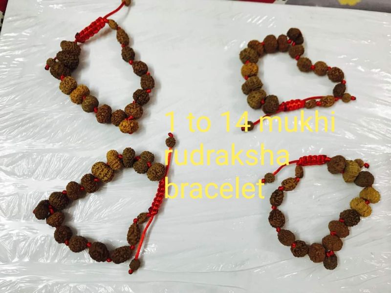 1 to 14 mukhi rudraksha bracelet for Religious