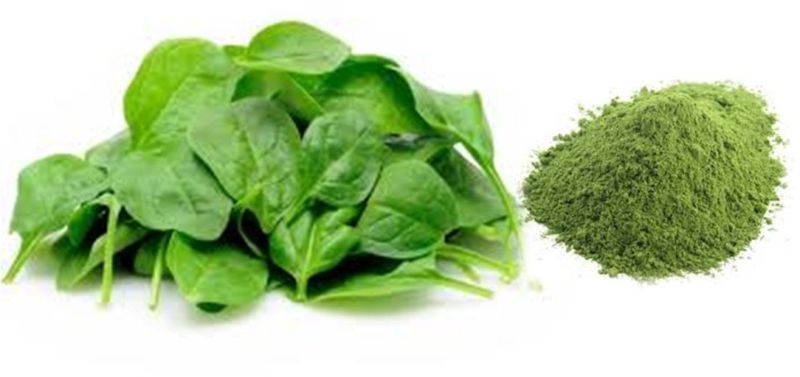 Spinach Flour, Color : Green