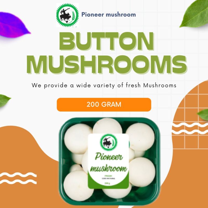 Fresh Button Mushroom, Packaging Size : 5 Kg)