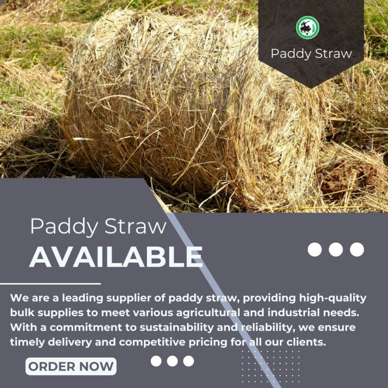 Paddy Straws, Form : Pellets