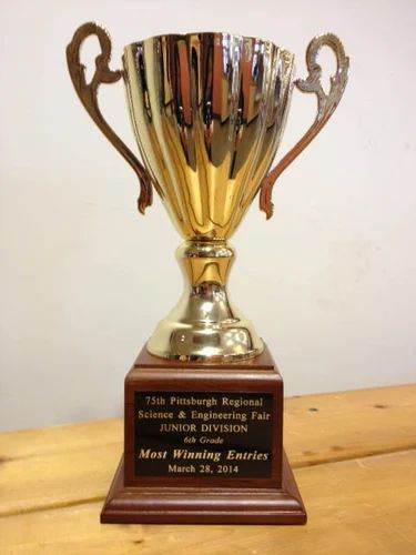 Patel Shields Art Brass School Trophy for Appreciation Award