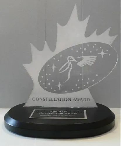 Printed Acrelic Fancy Acrylic Engraved Trophy for Office
