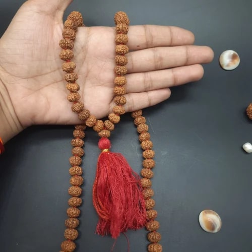 6 Mukhi Java Rudraksha Mala for Religious