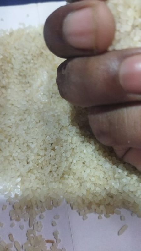 Common Broken Rice, Packaging Type : Plastic Bags