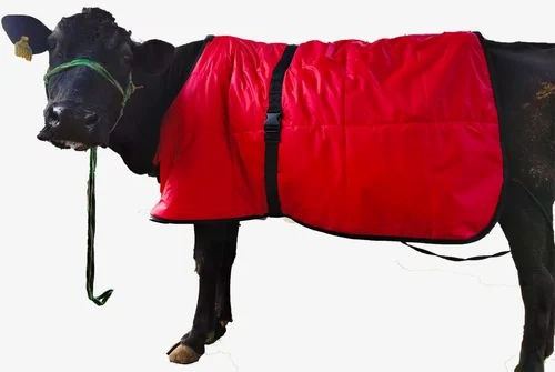 KLC Global Plain Cotton Cow Coat Blanket, Color : Red