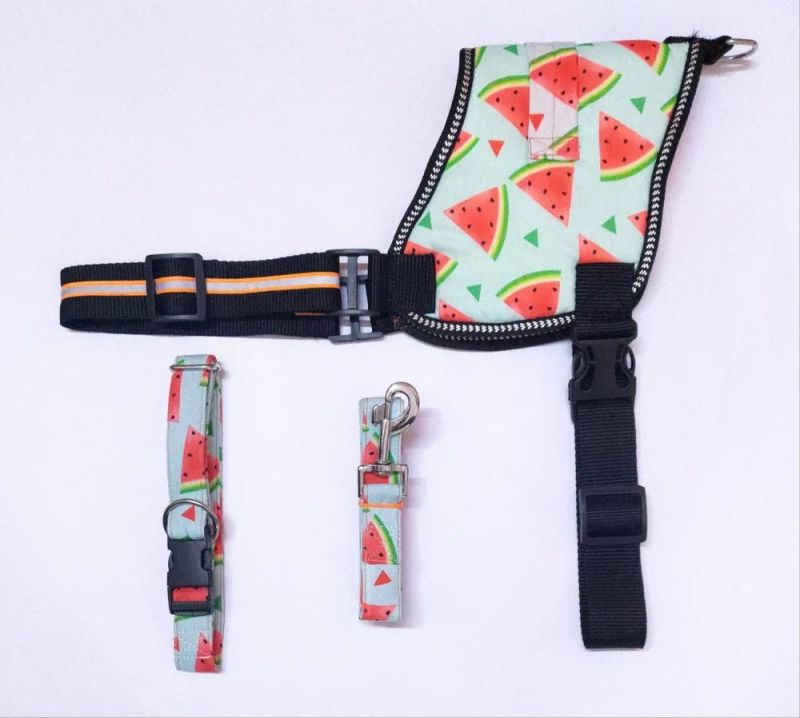 Dog Collar Harness Leash Sets for Home Purpose