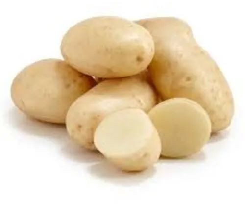 Natural Fresh Big Potato for Human Consumption