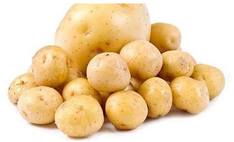 Natural Fresh Pukhraj Potato for Human Consumption