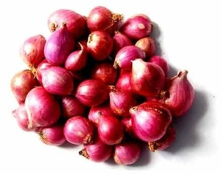 Small Red Onion for Human Consumption