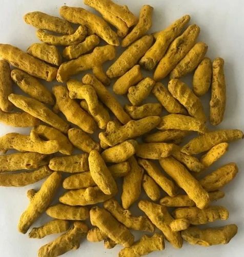 Dried Turmeric Finger