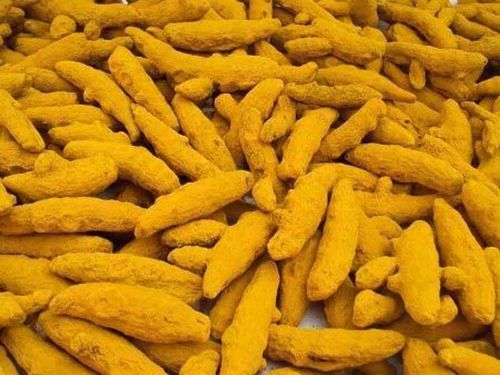 Dried Turmeric Finger