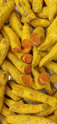 Dried Turmeric Finger