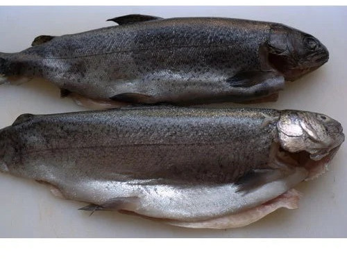 Kola Fish for Restaurants, Household