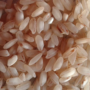 Boiled Matta Non Basmati Rice for Cooking