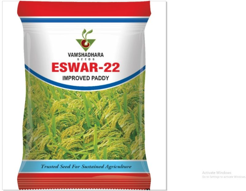 Vamshadhara Eswar-22 Improved Paddy Seeds for Agriculture