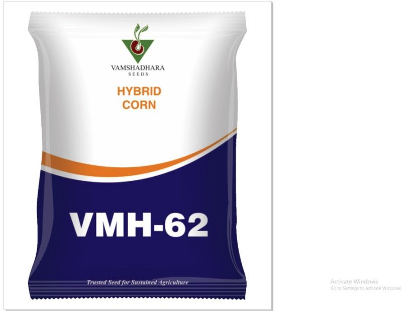 Vamshadhara VMH-62 Hybrid Corn Seeds for Agriculture