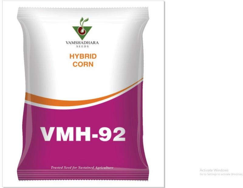 Vamshadhara VMH-92 Hybrid Corn Seeds for Agriculture