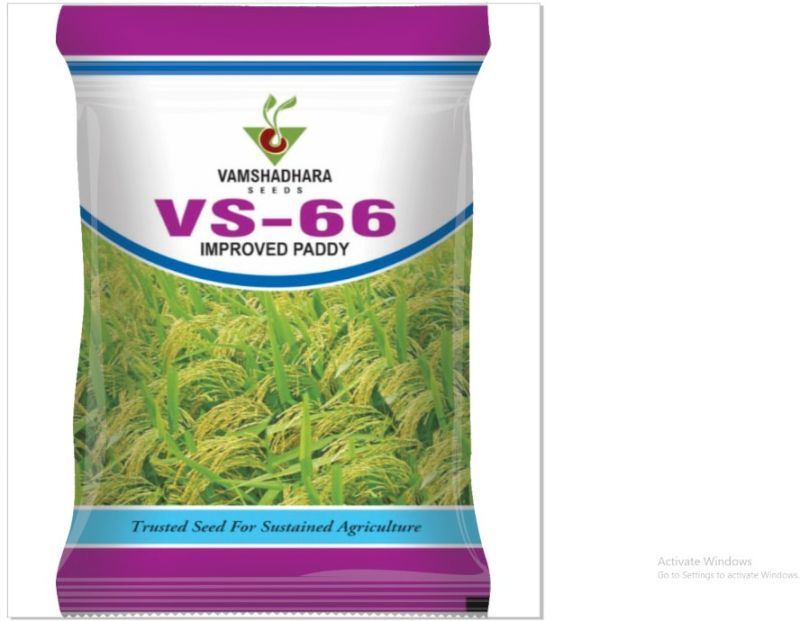 Vamshadhara VS-66 Improved Paddy Seeds for Agriculture