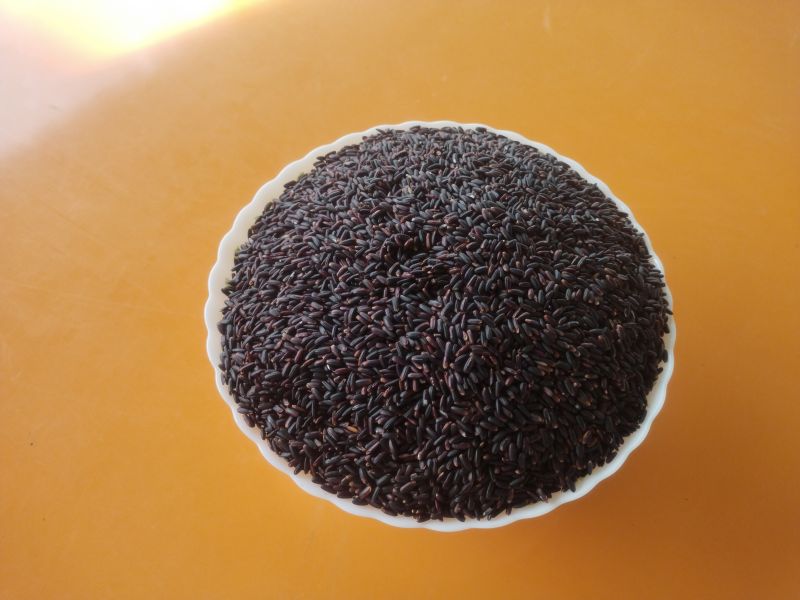 Black Rice