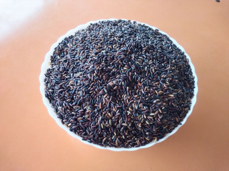 Black Rice