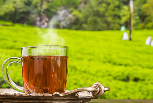 Darjeeling Tea, Color : Brown