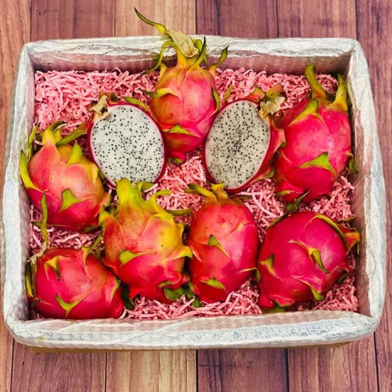 dragon fruit