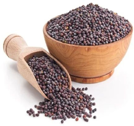 Brown Mustard Seeds for Human Consumption/Oil Purpose