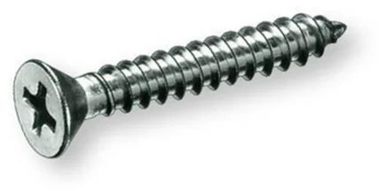 Phillips Screw