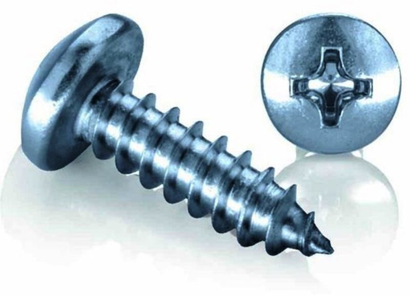 Zinc Plated Screw for Hardware Fitting