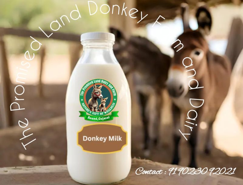 Donkey Milk