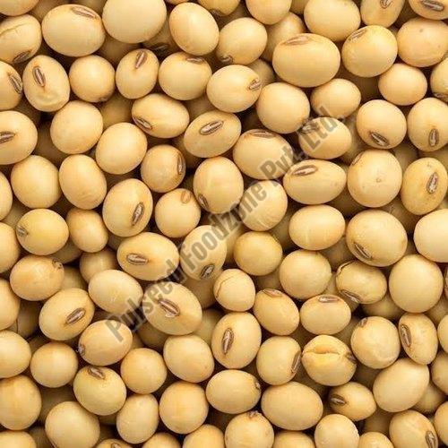 Soybean Seeds