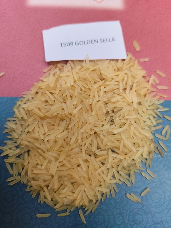 1509 Golden Sella Basmati Rice for Cooking