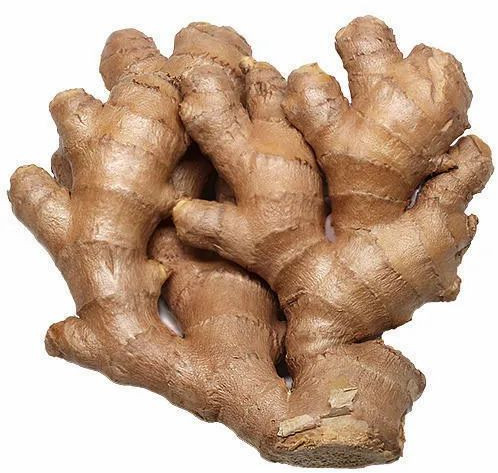 Fresh Ginger, Packaging Type : PP Bag