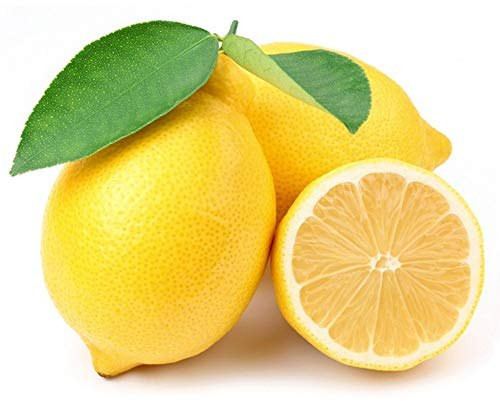 Fresh Lemon, Packaging Type : PP Bag, Carton