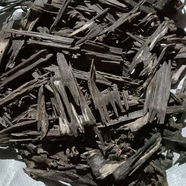 Agarwood Chip