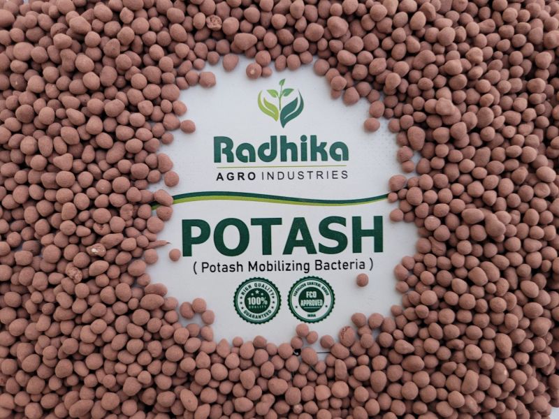 Potash Mobilizing Bacteria Biofertilizer