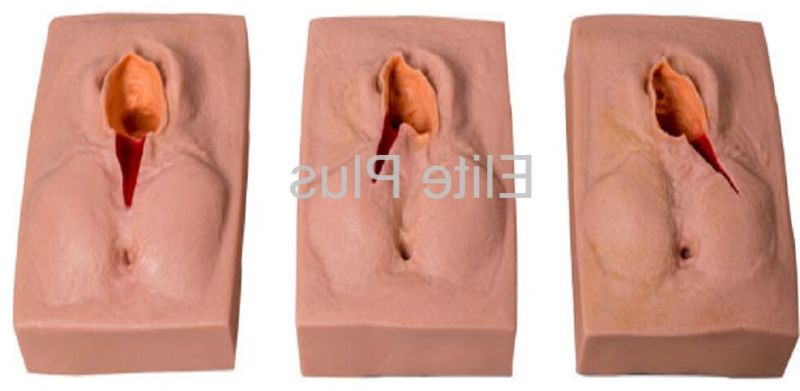 Vulva Suturing Training Simulator