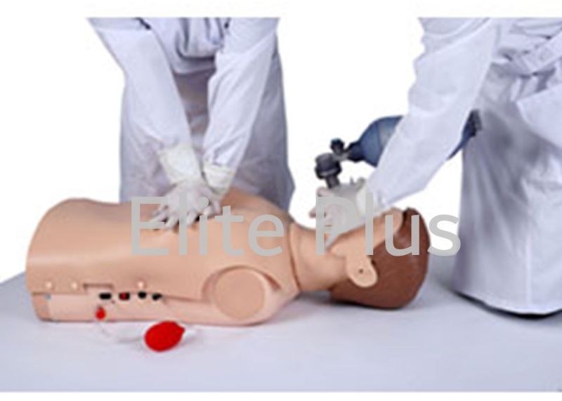 Advanced Half Body CPR Training Manikin   With Voice Indication