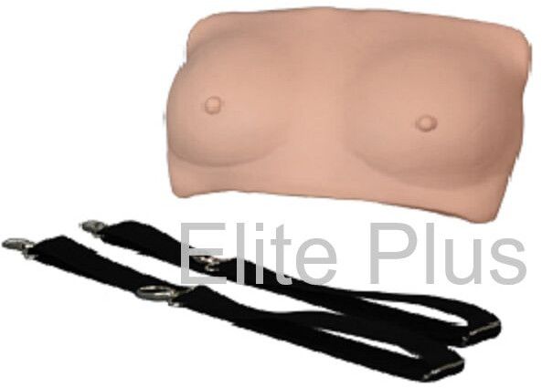 Breast Examination Model