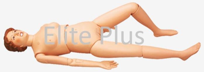 Multi-Functional Nursing Manikin