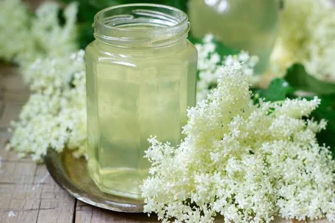 Elderberry Seed Oil